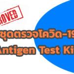 รายชื่อชุดตรวจโควิด-19 (Antigen Test Kits) ที่ผ่าน อย. ตรวจสอบก่อนใช้