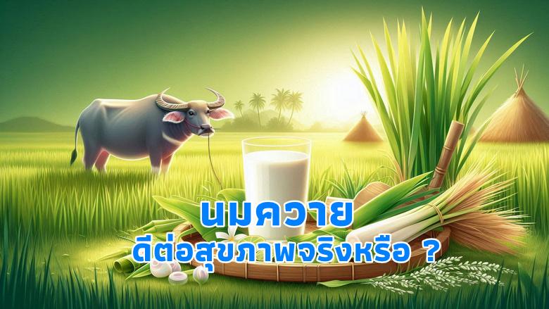 นมควาย