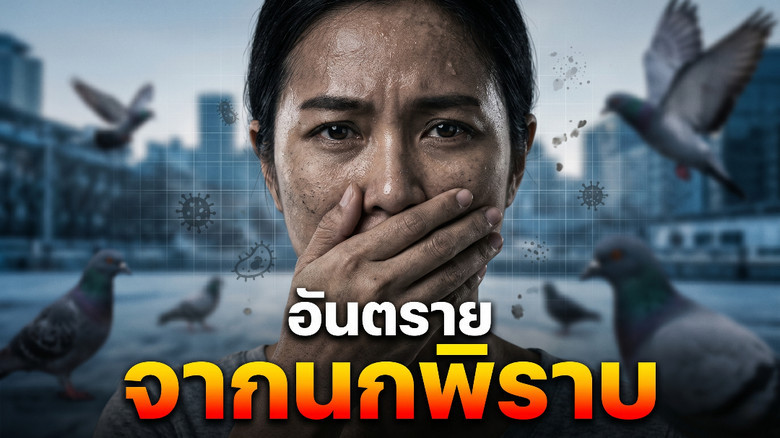 อันตรายจากนกพิราบ