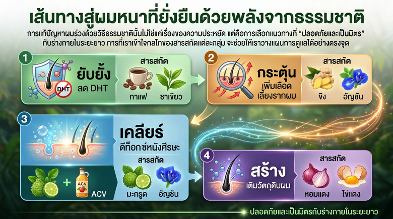 แก้ปัญหาผมร่วง